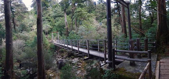 cầu trên đảo yakushima